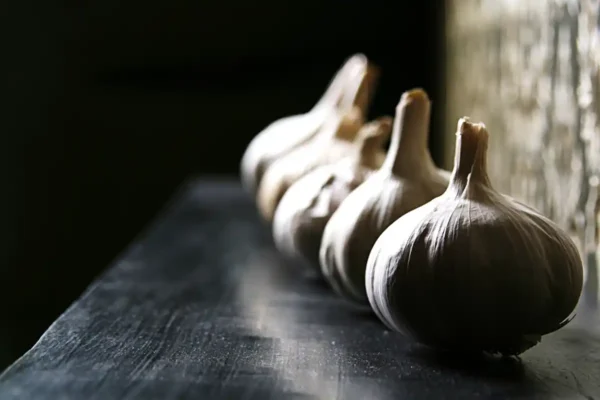 Garlic